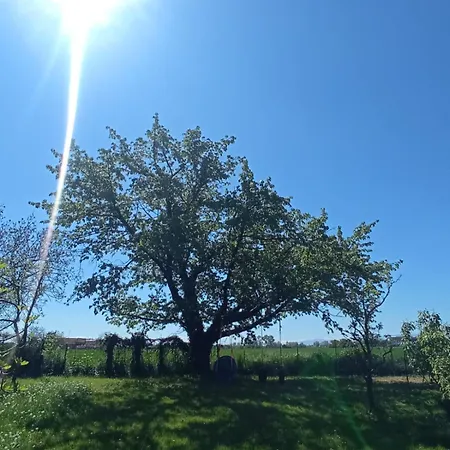 Bb6 Di Elena E Roberto * Casavecchie