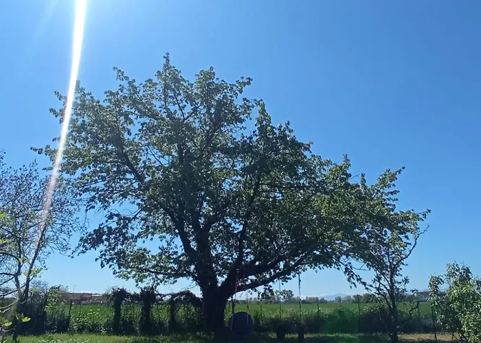 Bb6 Di Elena E Roberto * Casavecchie